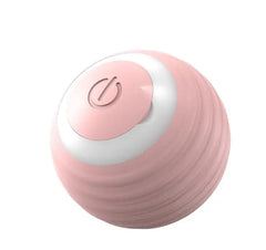 Interactive Pet Ball Toy